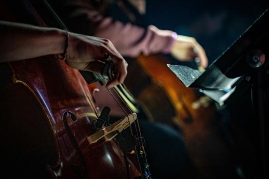 View of a symphony