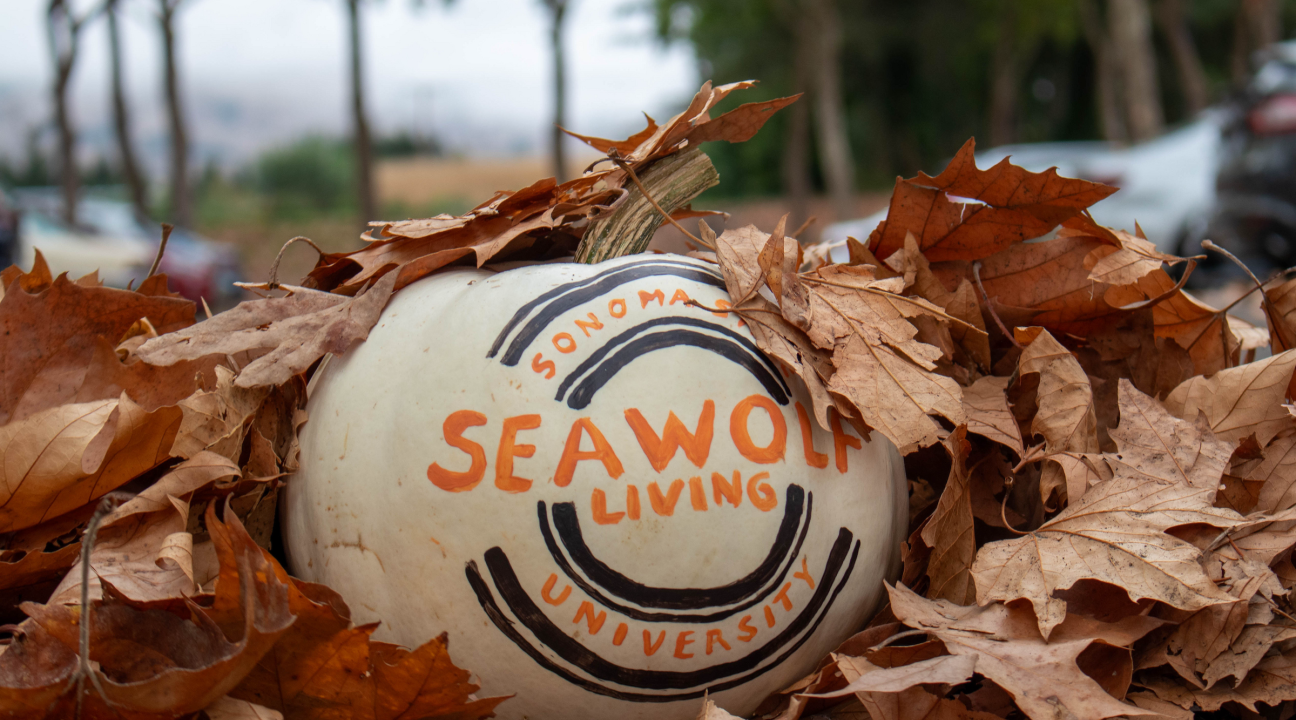 SL Logo on Pumpkin