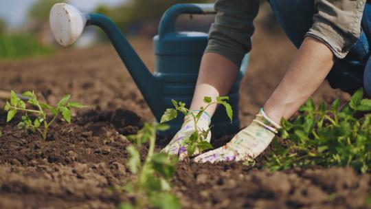 gardening