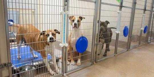 Rohnert Park Animal Shelter