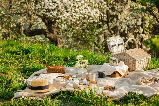 Picnic