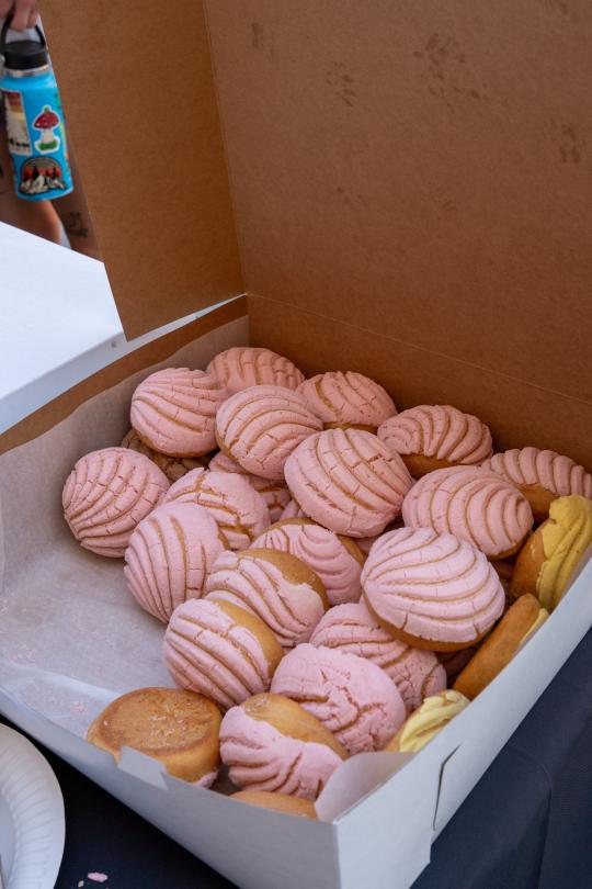 culture and conchas