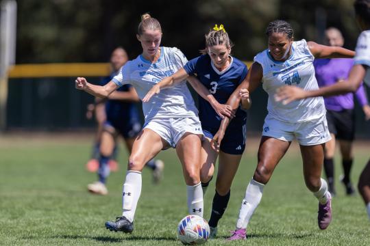Three soccer players fight for the ball