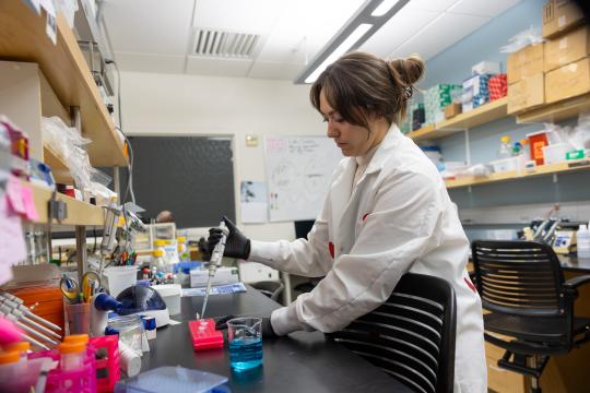 A student injects liquids into phials in a lab