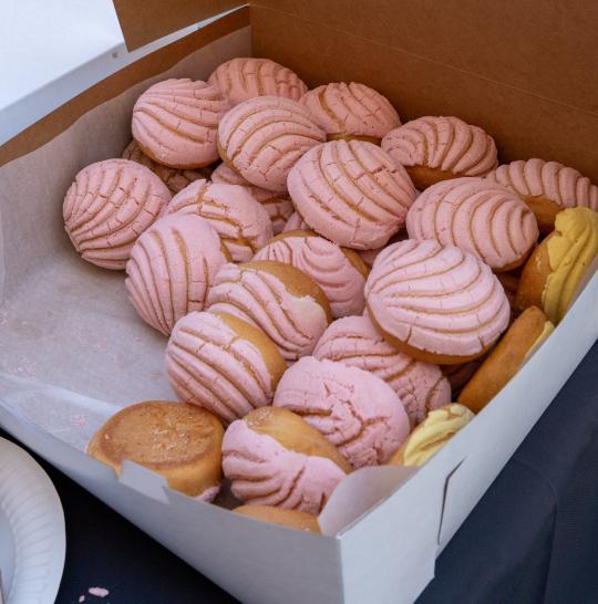 Conchas in a box