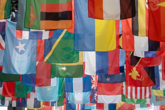 Flags from many countries