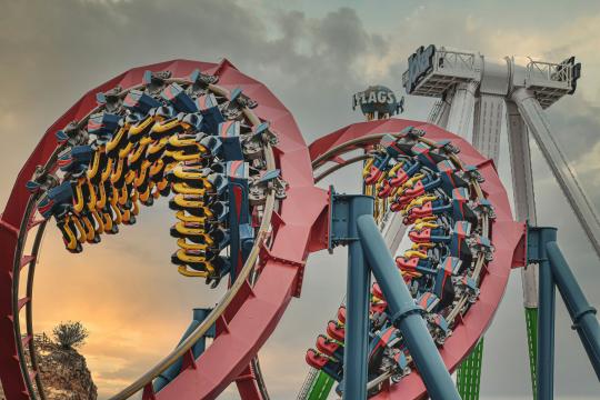 View of roller coaster at six flags