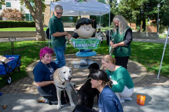 Mental Health Fair