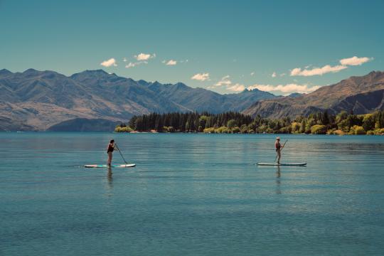 Two people paddle boarding on a lake