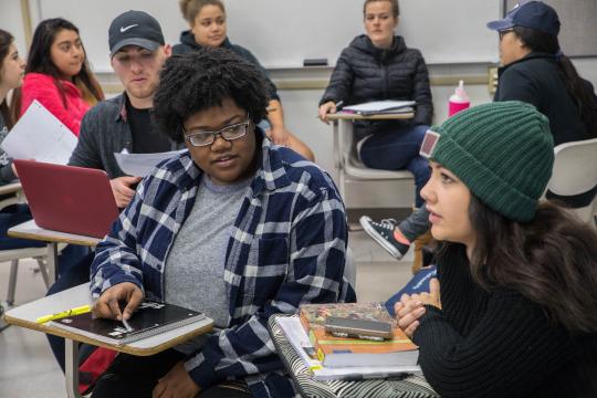 Student studying together