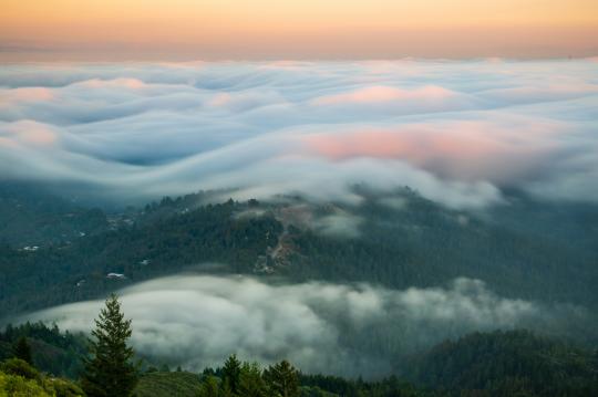 Foggy view of mount tam