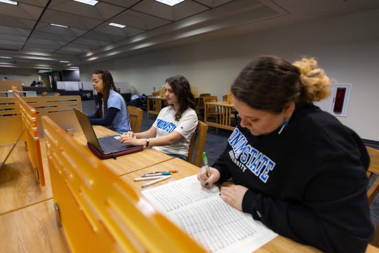 Students focused on homework at the library