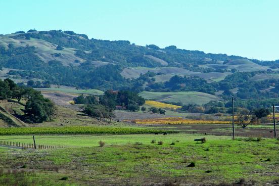 Sonoma county hill