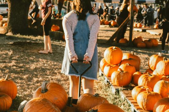 pumpkin patch