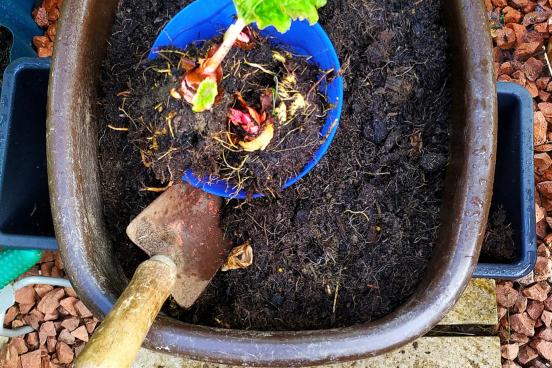composting