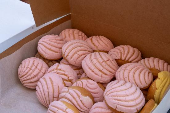 Pink Conchas