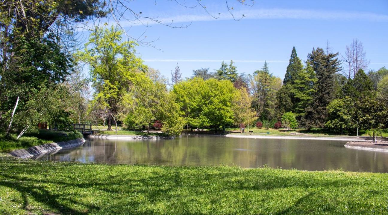 ssu Campus scenery
