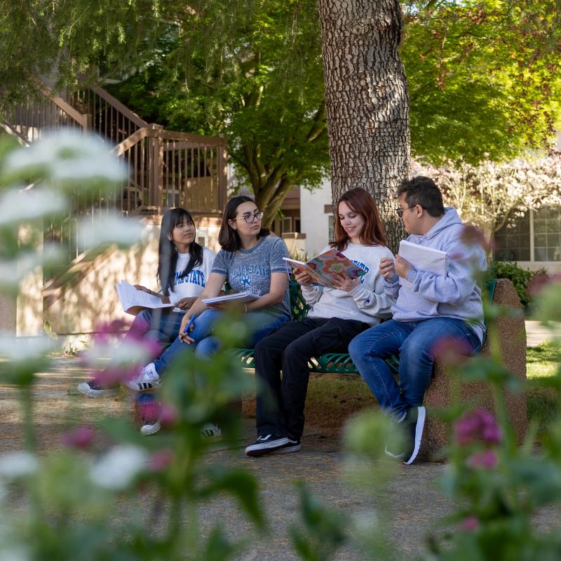 Four students sitting on a bench looking at books