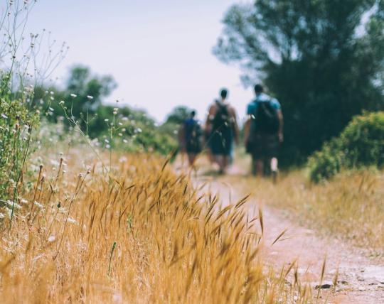Couple taking a hike in nature
