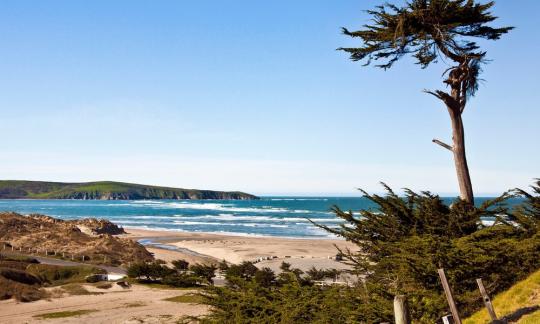 bodega bay beach