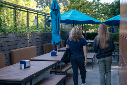lobos patio