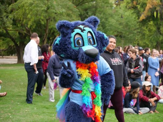 Lobo celebrating queer history month