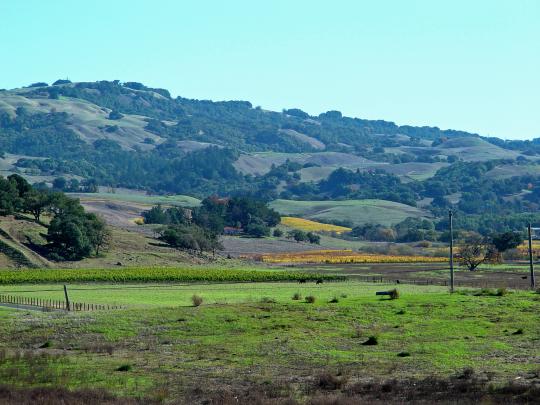 Sonoma county hill