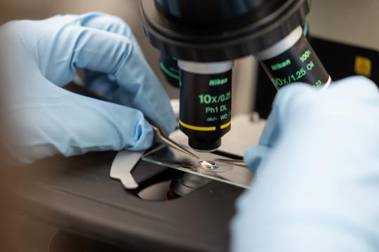 microscope