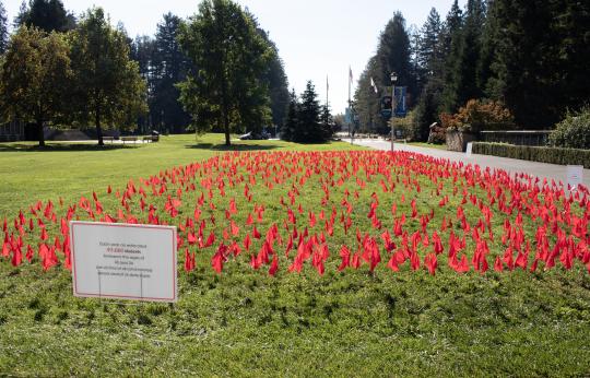 red flags on lawn