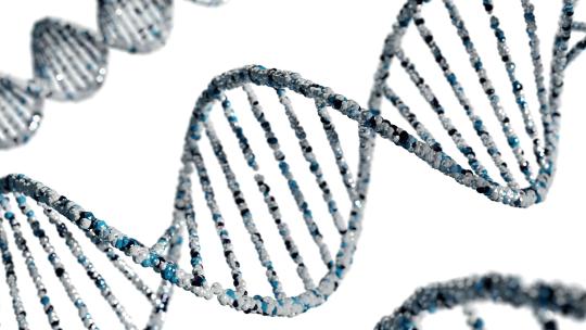 DNA strands