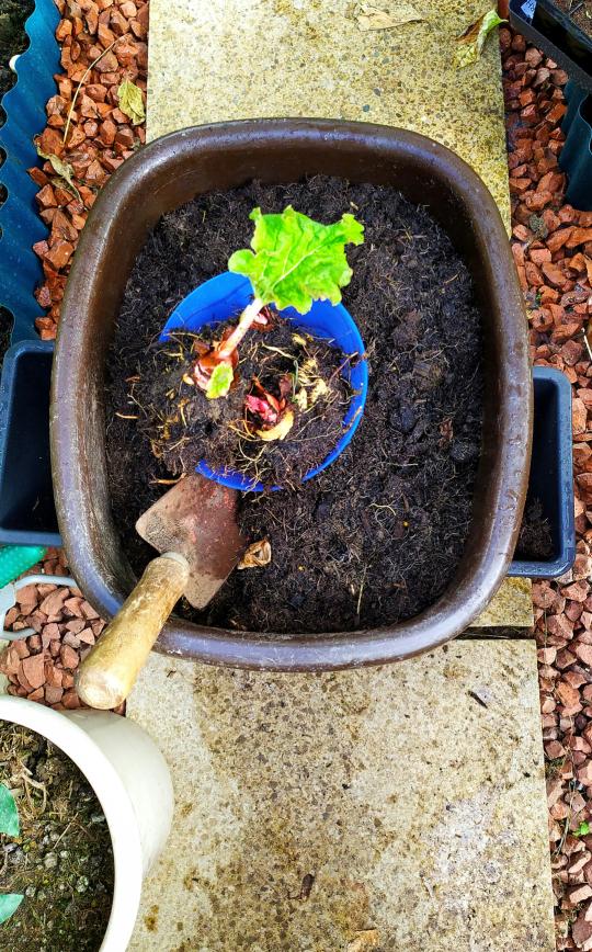 composting
