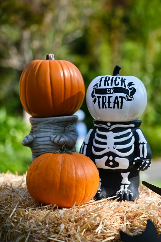 Trick or treat decor