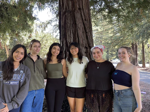 mental health ambassadors