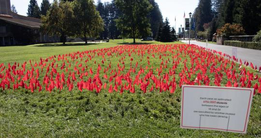 red flags for alcohol awareness week