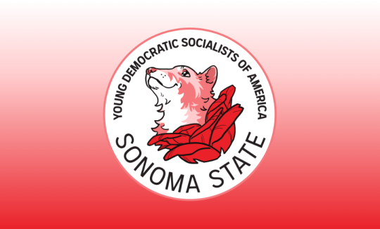 YDSA