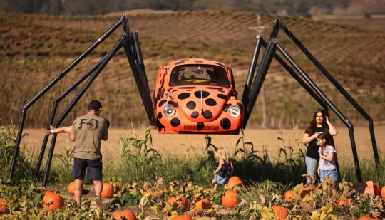 pronzini pumpkin patch