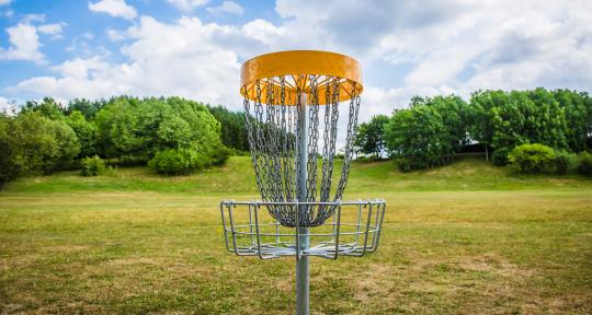 disc golf goal